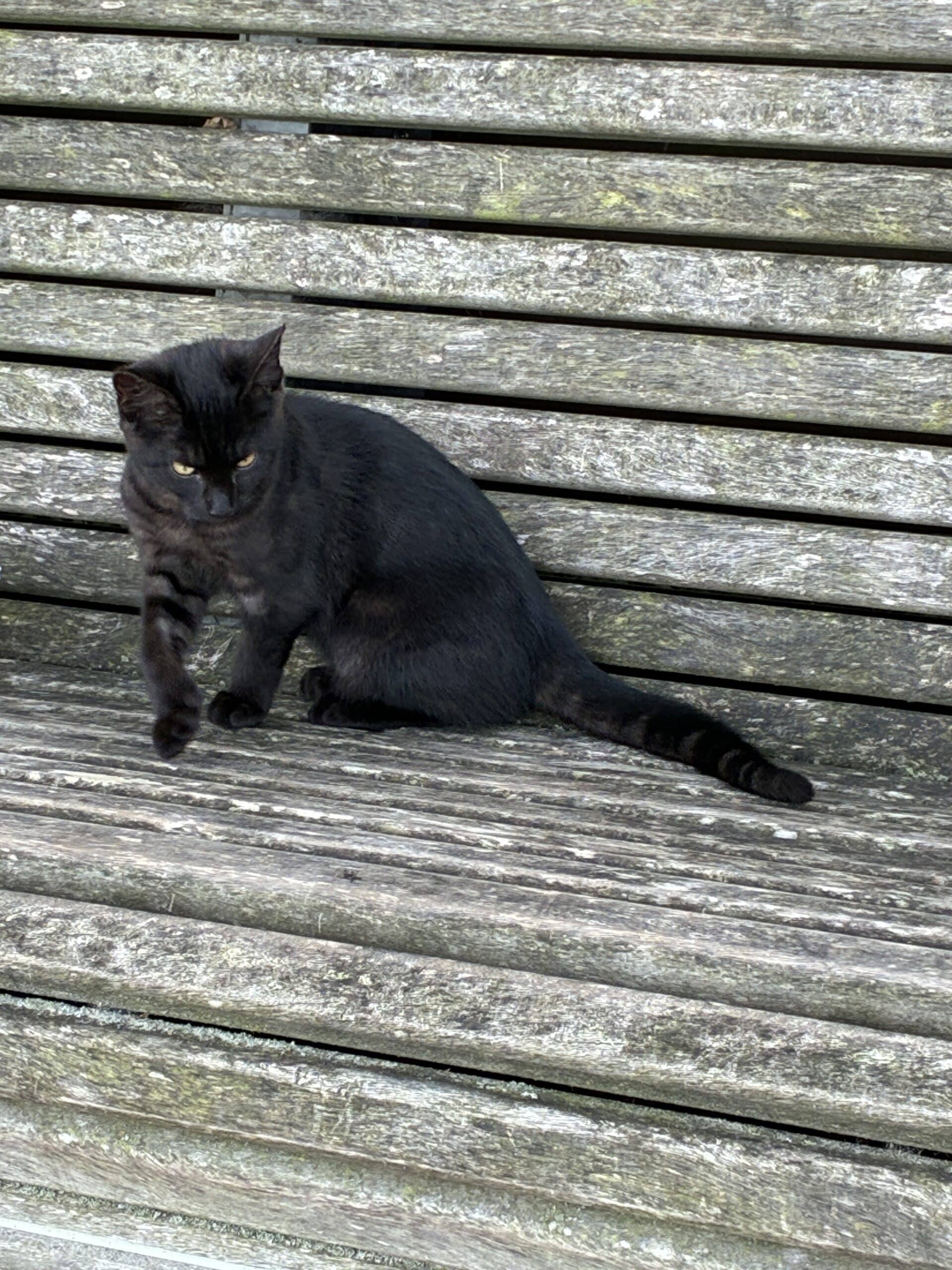Auf dem Weg erstmal diese kleine Schönheit getroffen.