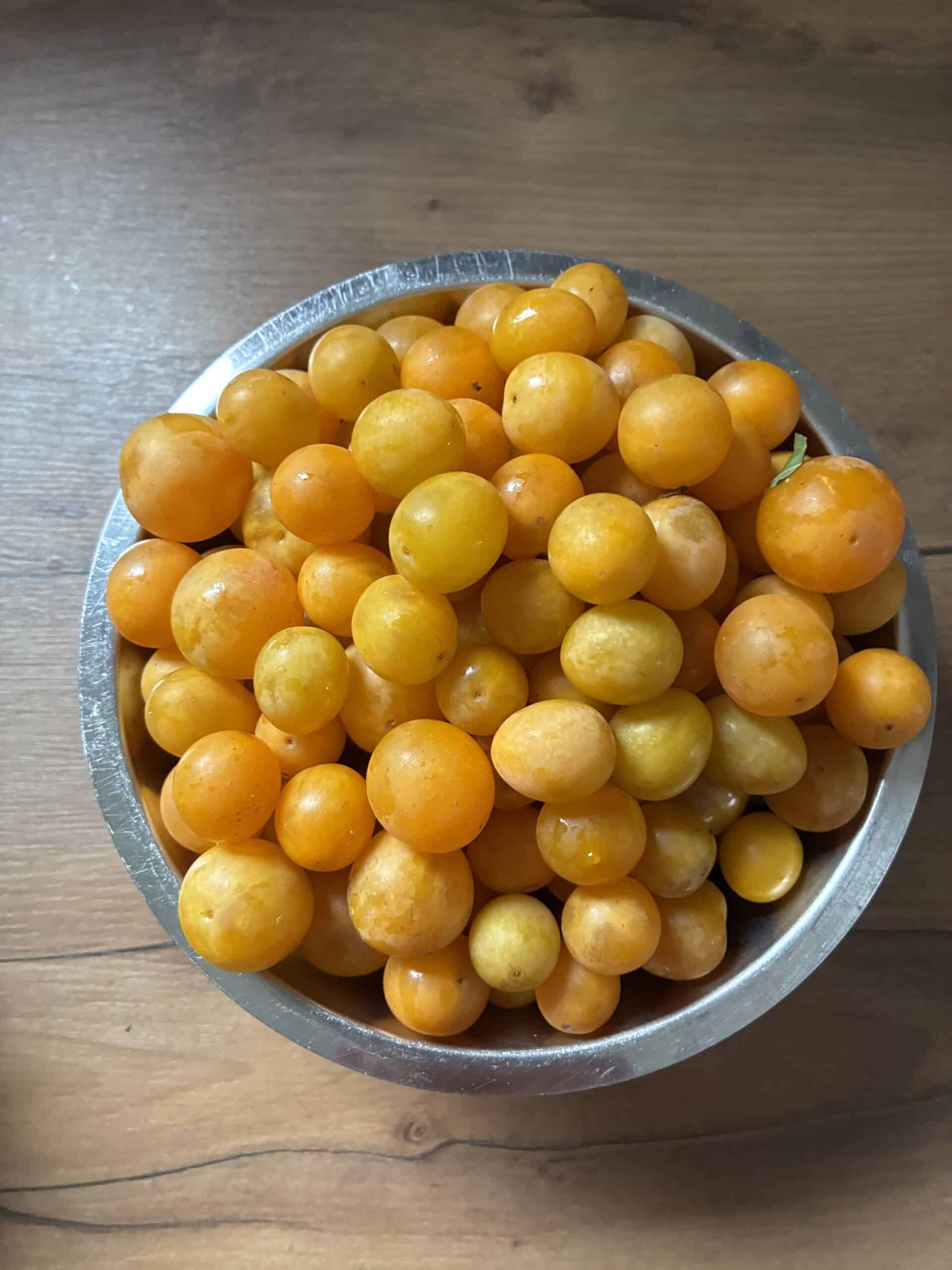 Eine ganze Schale Mirabellen, juhu