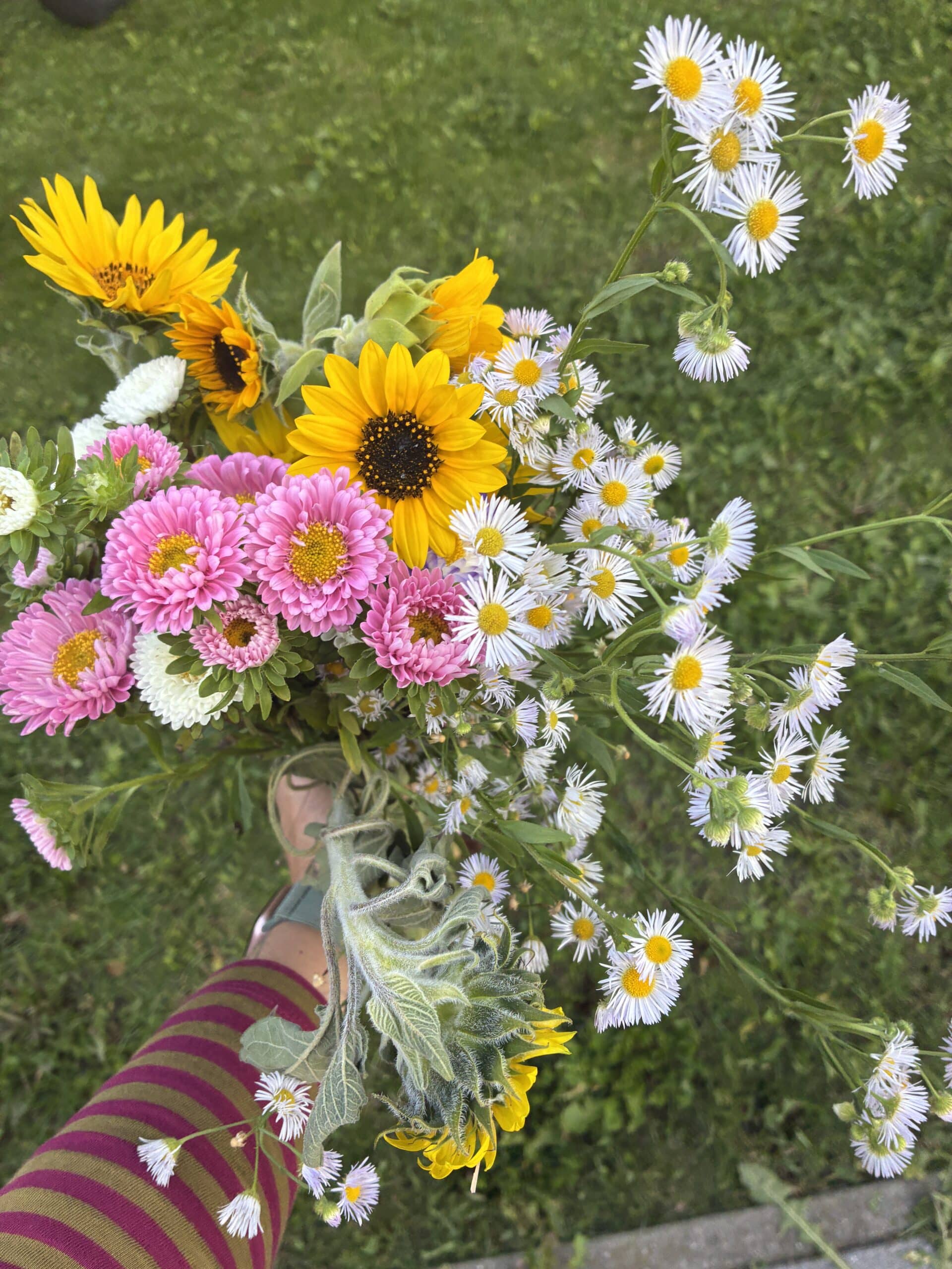 Dort pflücke ich Blumen für einen Strauß.