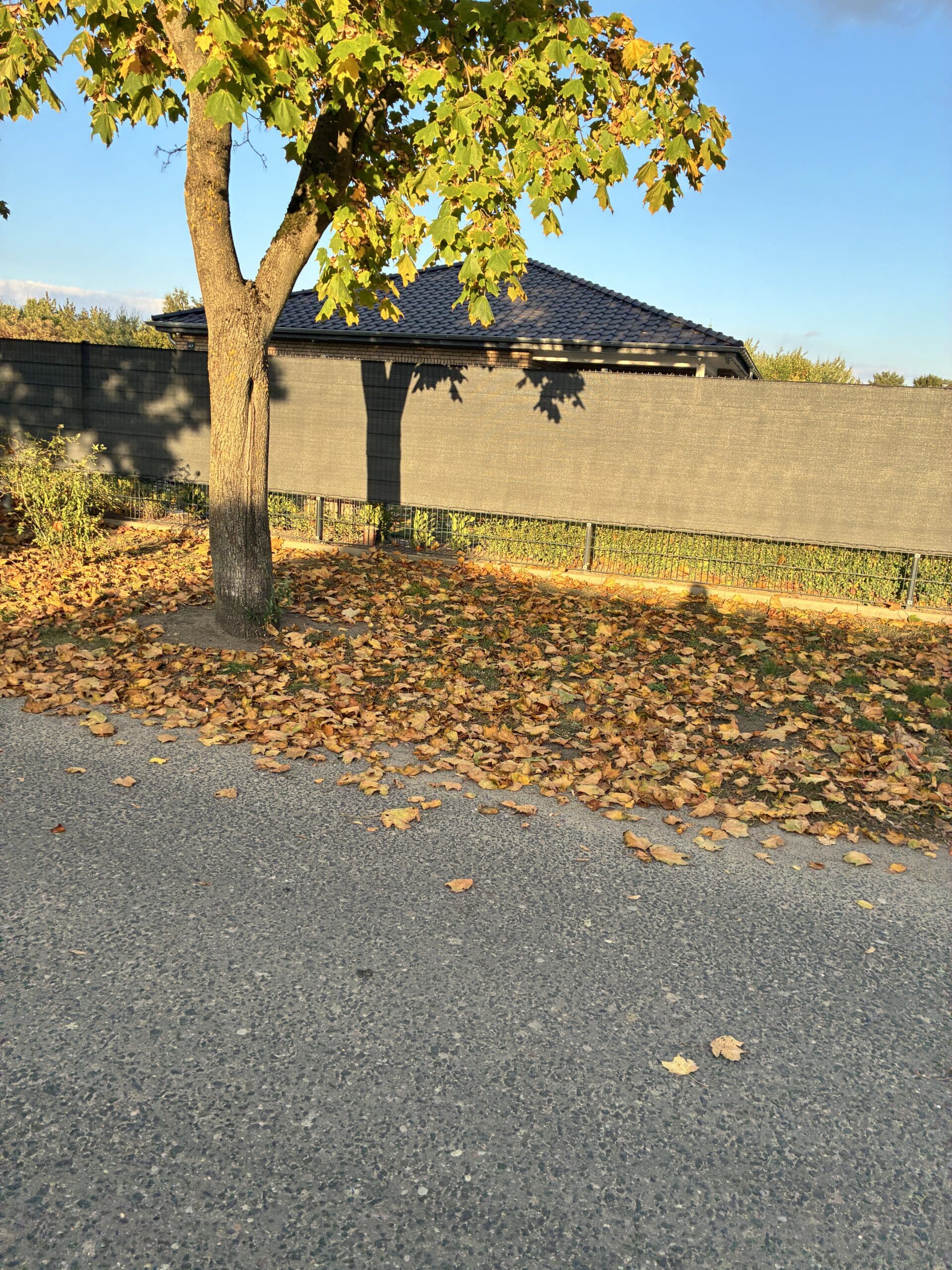 und dann geht es nochmal raus. Das Licht ist sehr schön.
